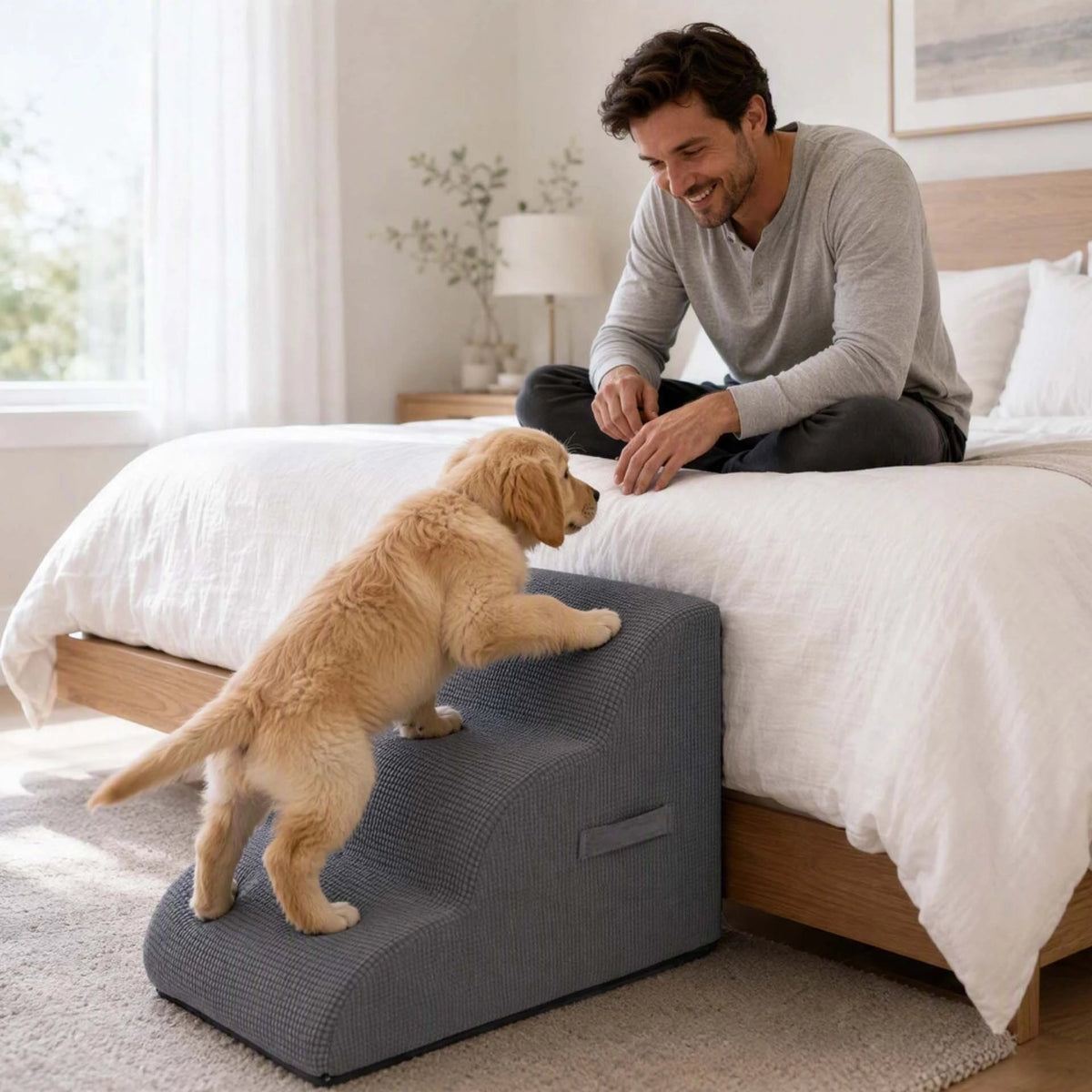 Escalier pour chien