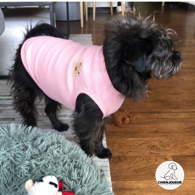 BearVest™ | Gilet pour chien Veste pour chien Chienjoueur   