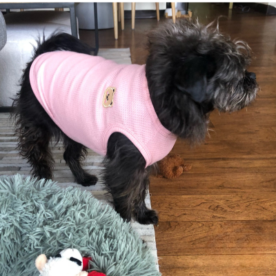 Pull pour chien | BearVest™