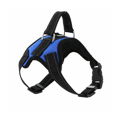 Harnais pour chien ergonomique bleu, léger, ajustable et anti-traction