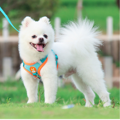 Pet Dog harness™ | Harnais pour chien harnais chien Chienjoueur   