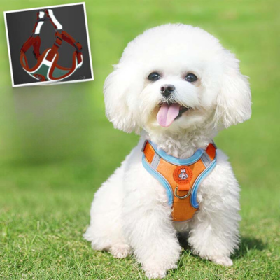 Pet Dog harness™ | Harnais pour chien harnais chien Chienjoueur   