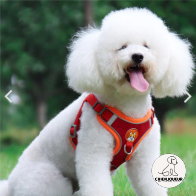 Pet Dog harness™ | Harnais pour chien harnais chien Chienjoueur   