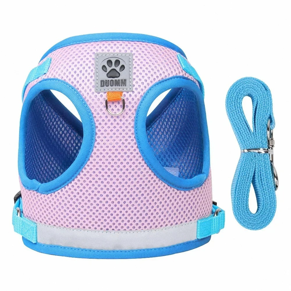 harnais pour chien avec laisse bleu