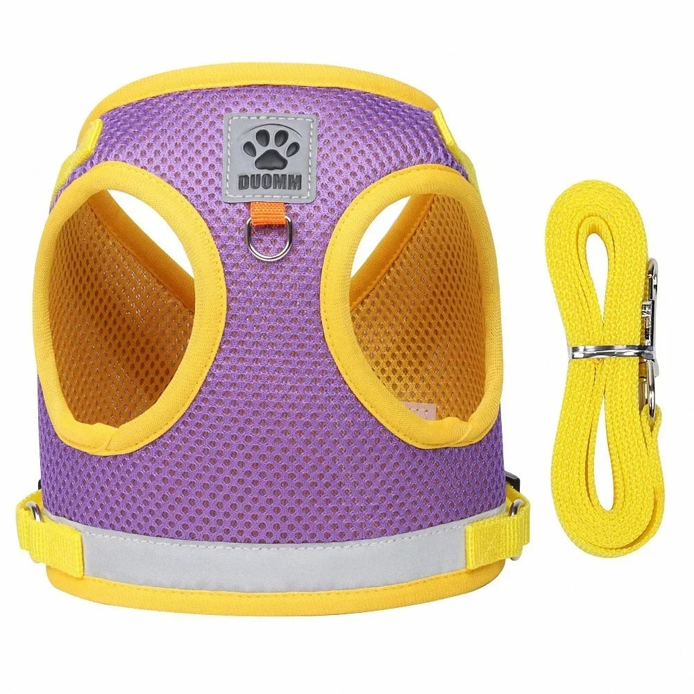 harnais pour chien avec laisse mauve