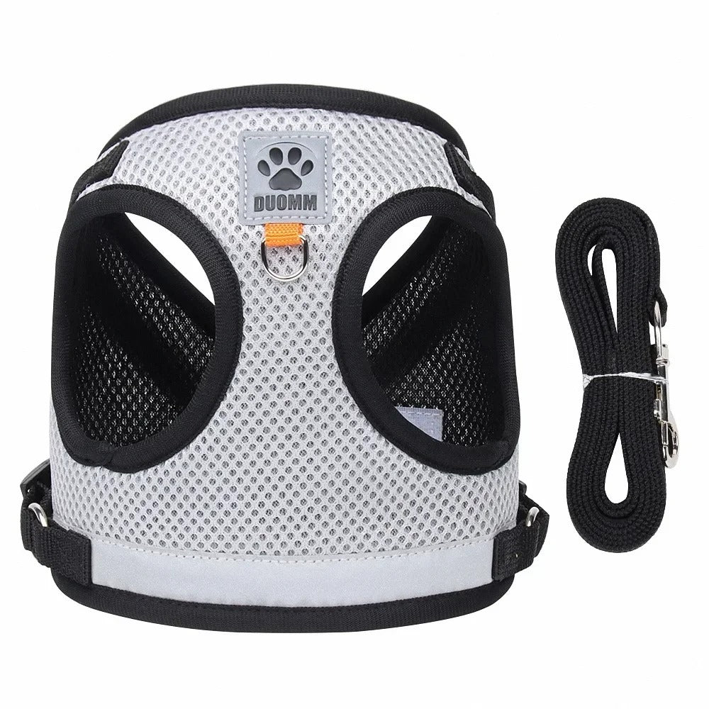 Harnais pour chien en tissu respirant usage extérieur