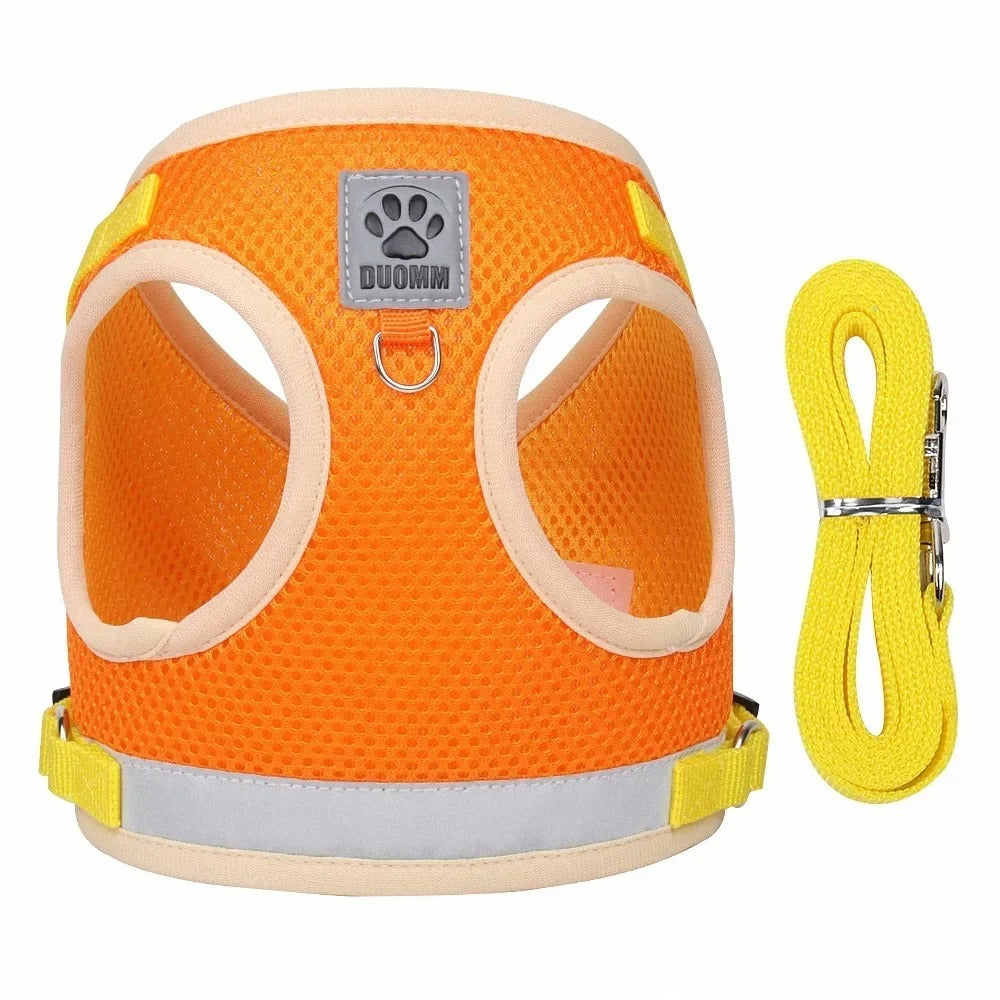 Harnais pour chien léger et sécurisé pour promenade