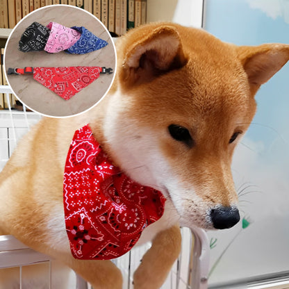 bandana-chien