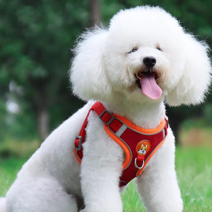 Harnais-pour-chien