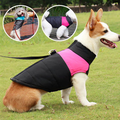 Manteau-pour-chien