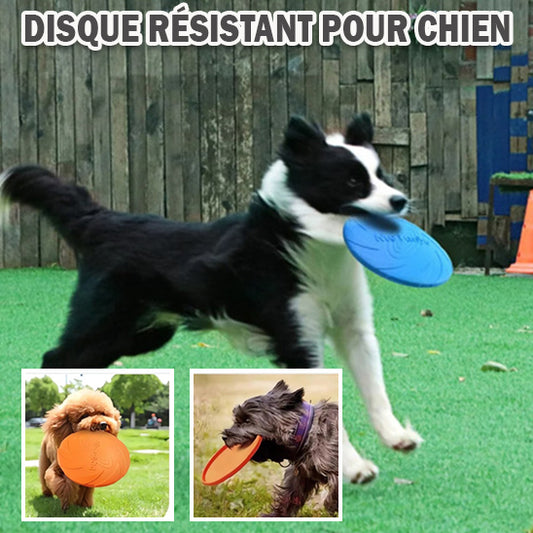 Disque volant pour chien