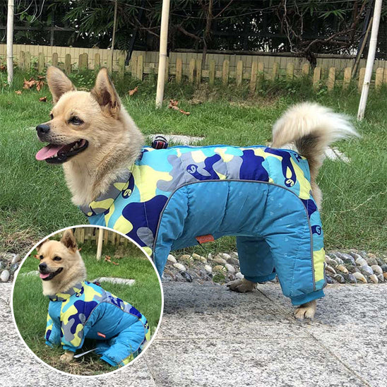Vêtement-pour-chien-imperméable