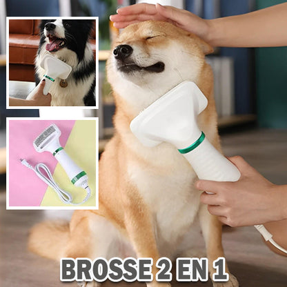 Séchoir- pour- chien