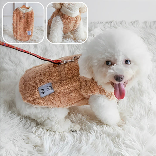 pull-pour-chien