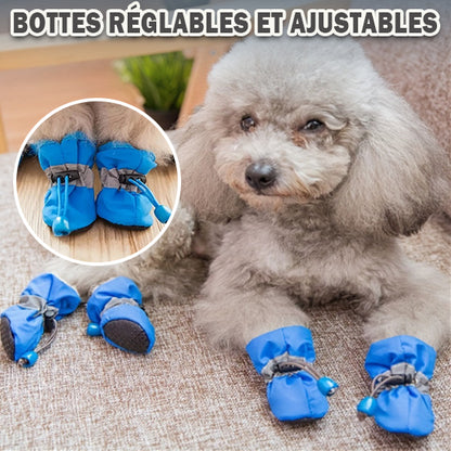 Bottes-pour-chiens-bleu