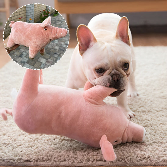 jouet-pour-chien