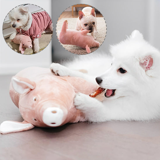 jouet-pour-chien