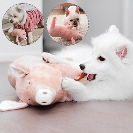 jouet-pour-chien