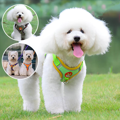 Harnais-pour-chien