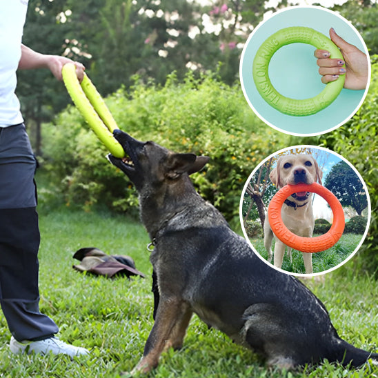 Anneau flottant pour chien