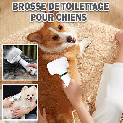 Séchoir-pour-chien