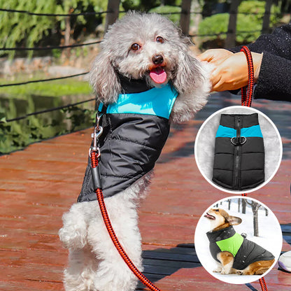 manteau-imperméable-chien