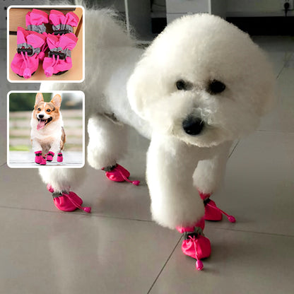 Bottes pour chiens