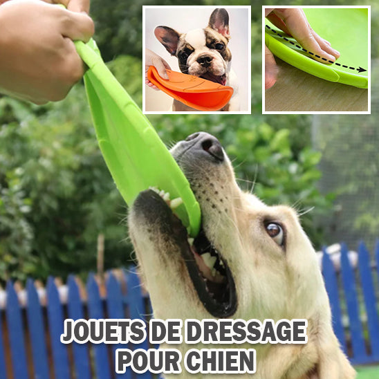 Disque volant pour chien