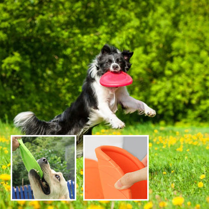 Disque-volant-pour-chien