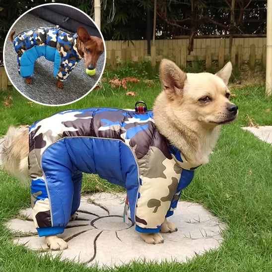 Vêtement-pour-chien-imperméable