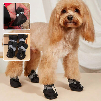 Bottes pour chiens