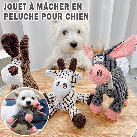 Peluche pour chien