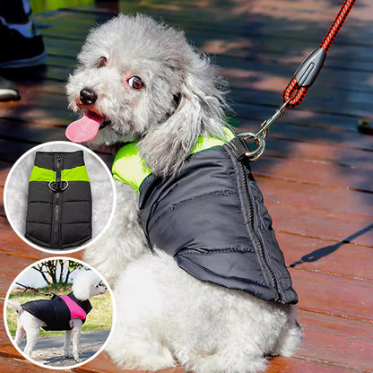 Manteau-pour-chien
