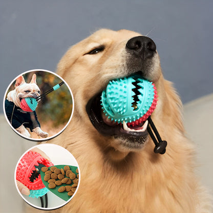  Balle-pour-chien