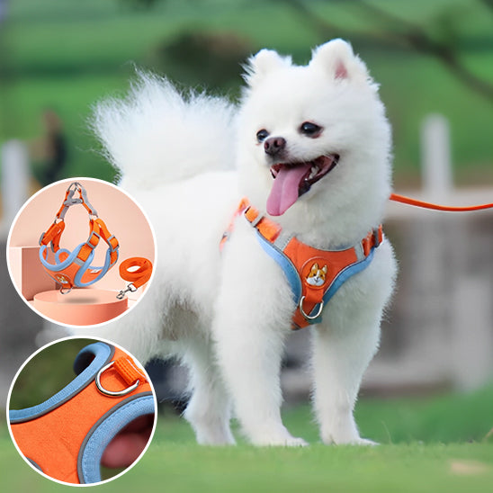 Harnais anti-traction pour chien