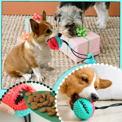 FunnyToys™ | Balle interactive à ventouse Jouet pour chien Chienjoueur   