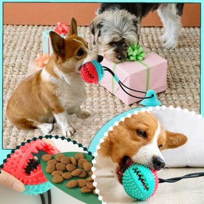  Balle-pour-chien