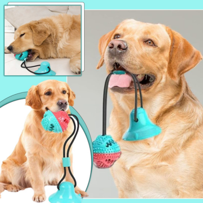 FunnyToys™ | Balle interactive à ventouse Jouet pour chien Chienjoueur   