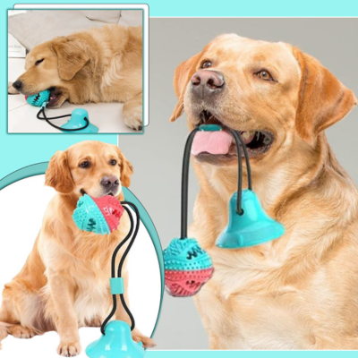  Balle-pour-chien