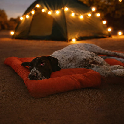 Chien reposant sur un lit de camp rouge confortable en extérieur
