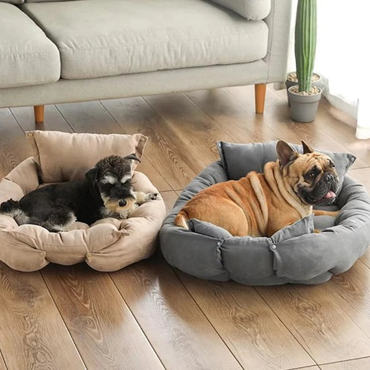 Deux chiens allongés sur des lits coussins moelleux et confortables pour chien à l’intérieur