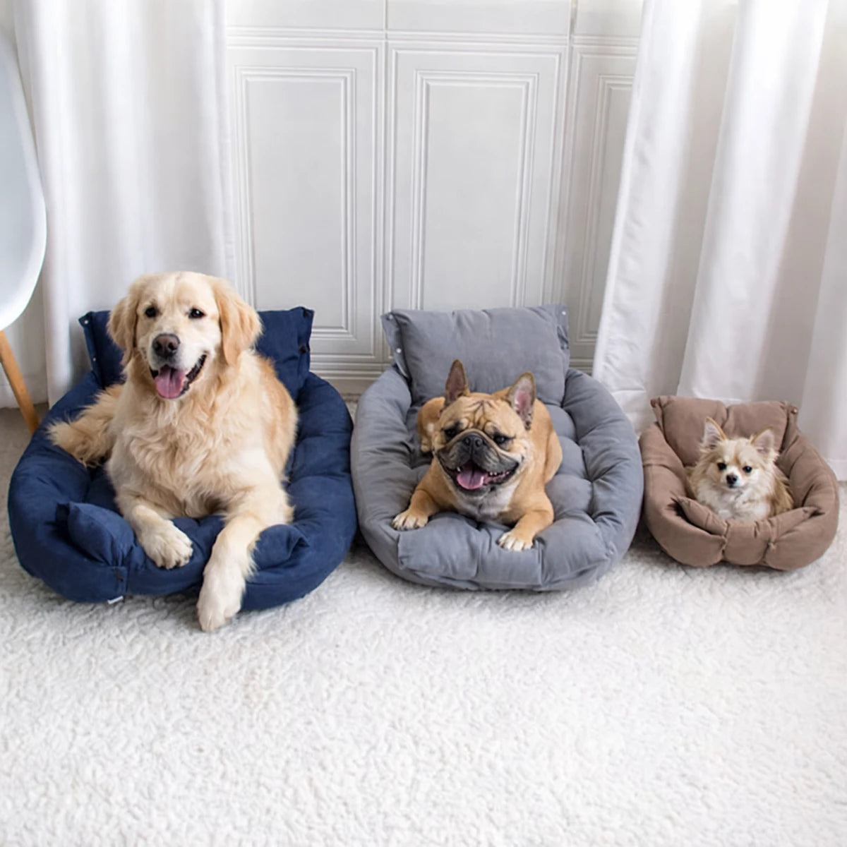 Chiens de différentes tailles allongés sur des lits coussins moelleux pour chien à l’intérieur