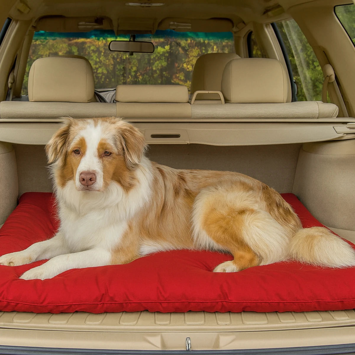 Chien couché sur un lit de camp pour chien dans le coffre d’une voiture