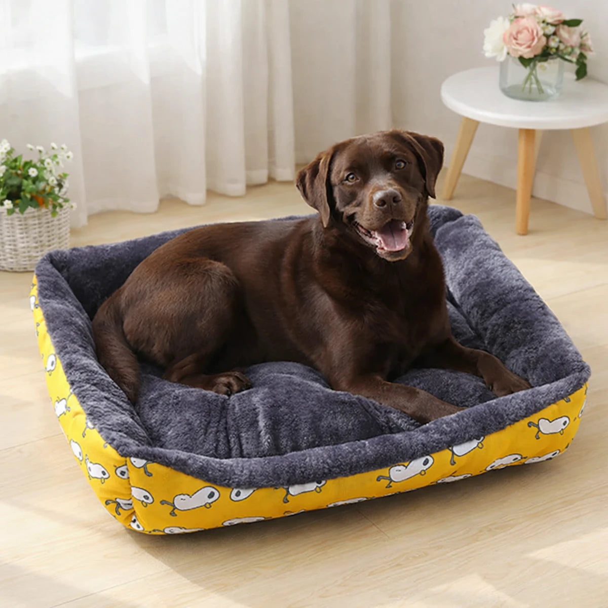 Lit pour chien avec labrador brun allongé sur coussin confortable en intérieur