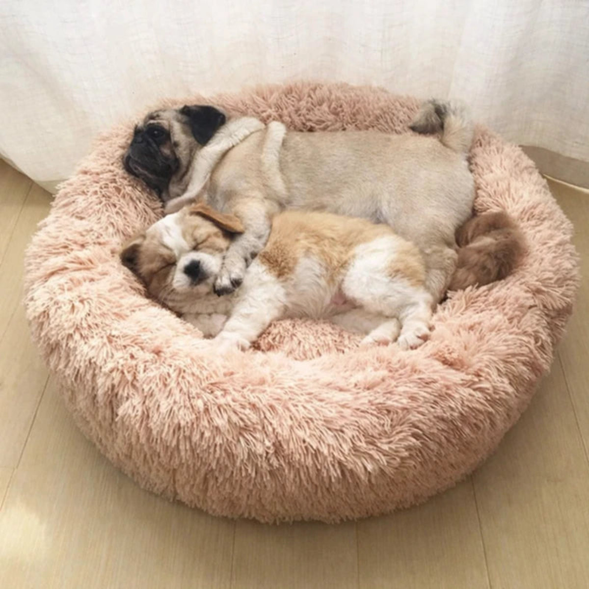 Deux chiots dormant dans un lit rond en peluche rose pour chien