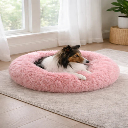 Chien colley allongé dans un lit rond en peluche rose pour chien
