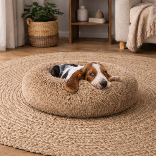 Chien reposant dans un lit rond en peluche pour chien sur tapis tressé
