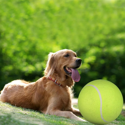 Balle-chien