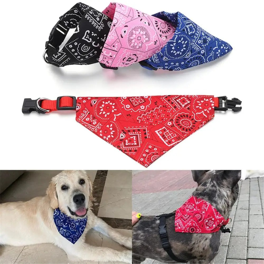 bandana-chien