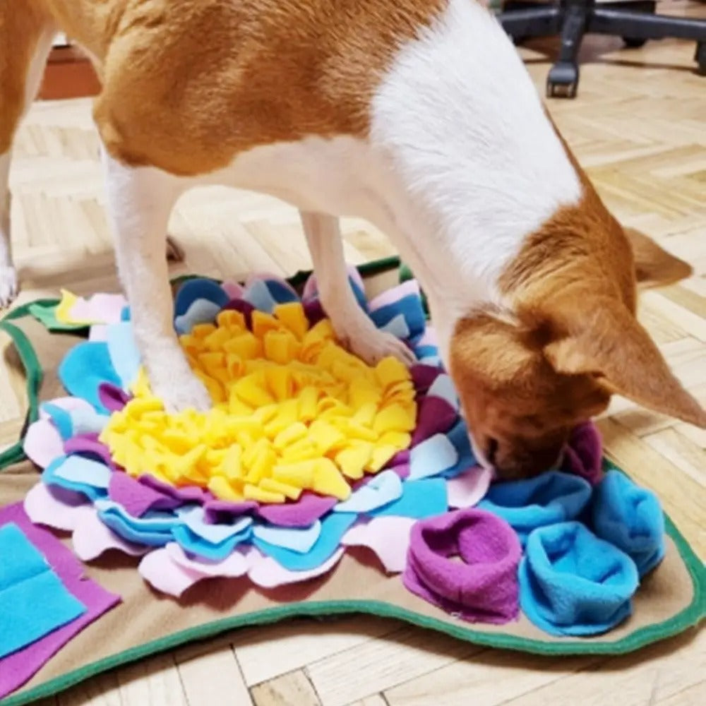 Jeu d'alimentation pour chien